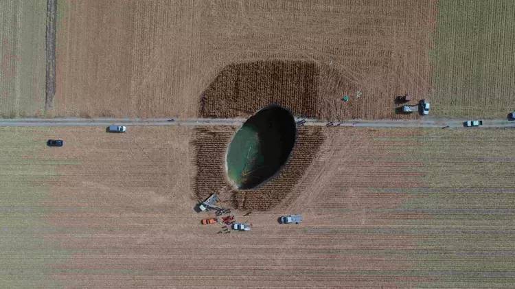 Her geçen gün sayısı artıyordu! Herkes panik halinde, kaygılar yükseldi...Nedeni ise 12